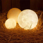 3D Paint Moon Light Lamp--Order 2
